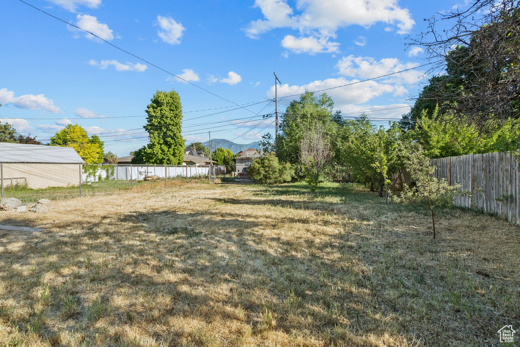 View of yard