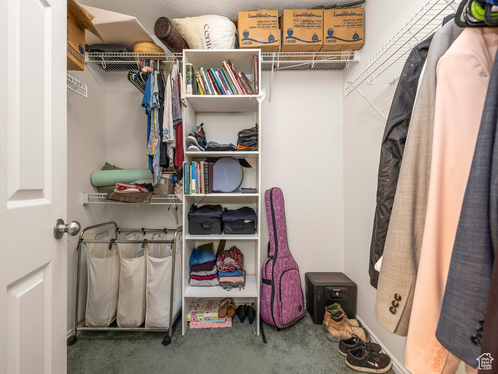 Spacious closet with carpet flooring