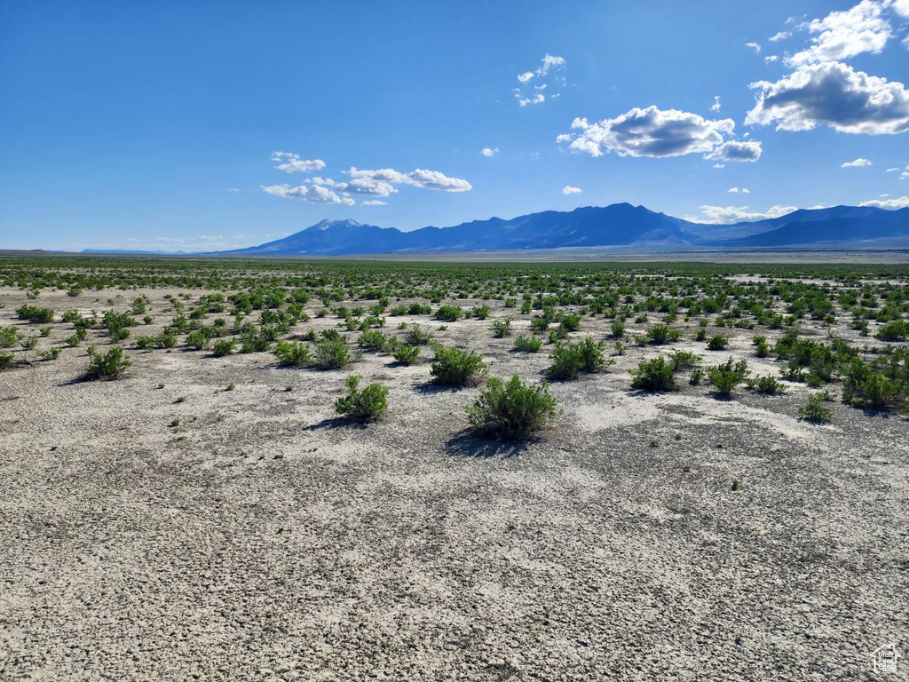 View of mountain background with a desert landscape