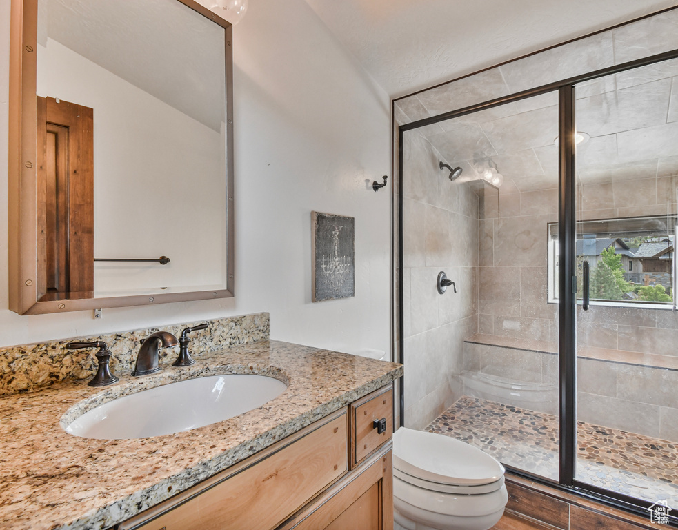 Bathroom with toilet, a stall shower, and vanity