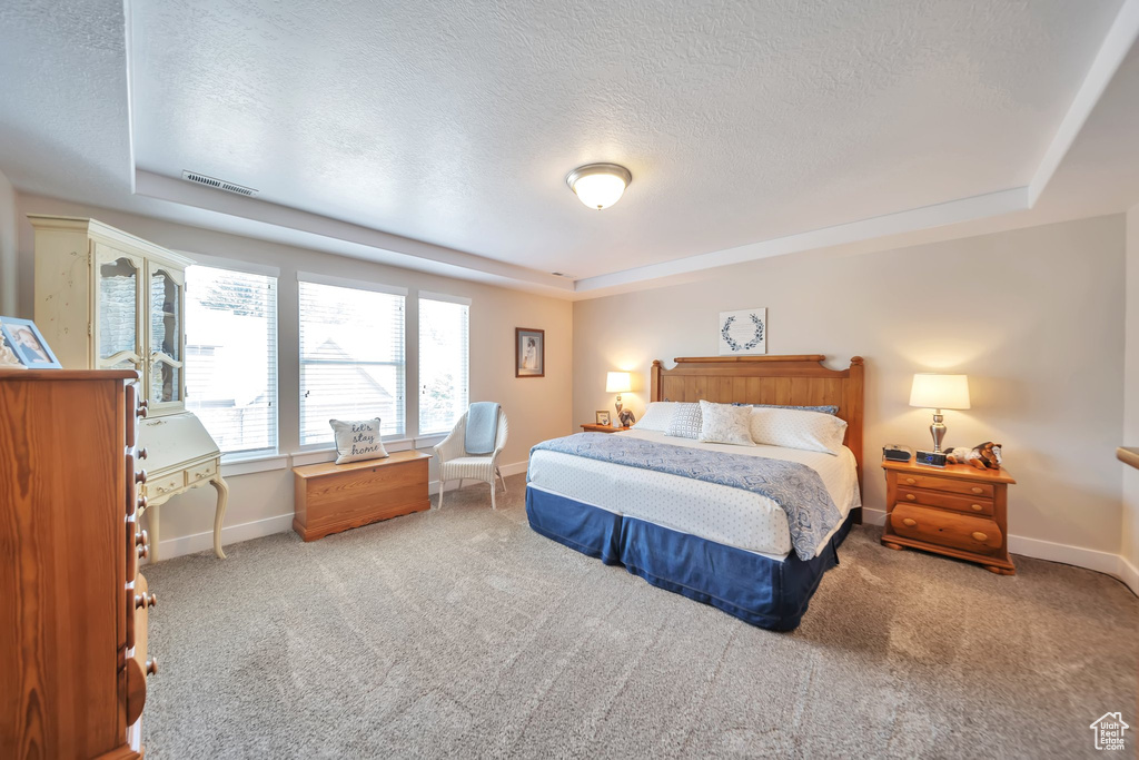 Carpeted bedroom with a textured ceiling and a raised ceiling