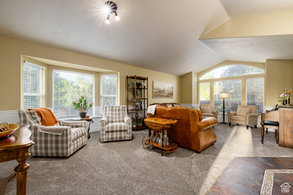 Living area with lofted ceiling and carpet