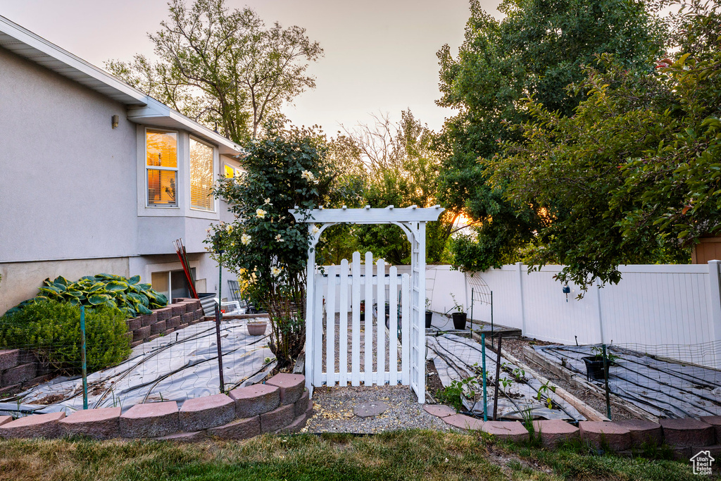 View of yard