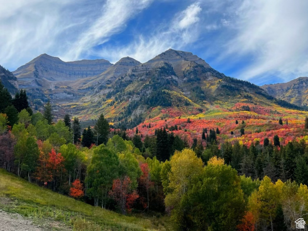 View of mountain backdrop featuring a heavily wooded area