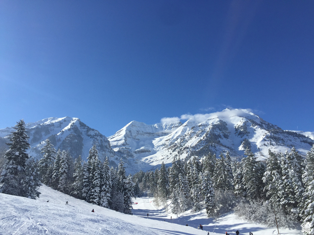 View of mountain background