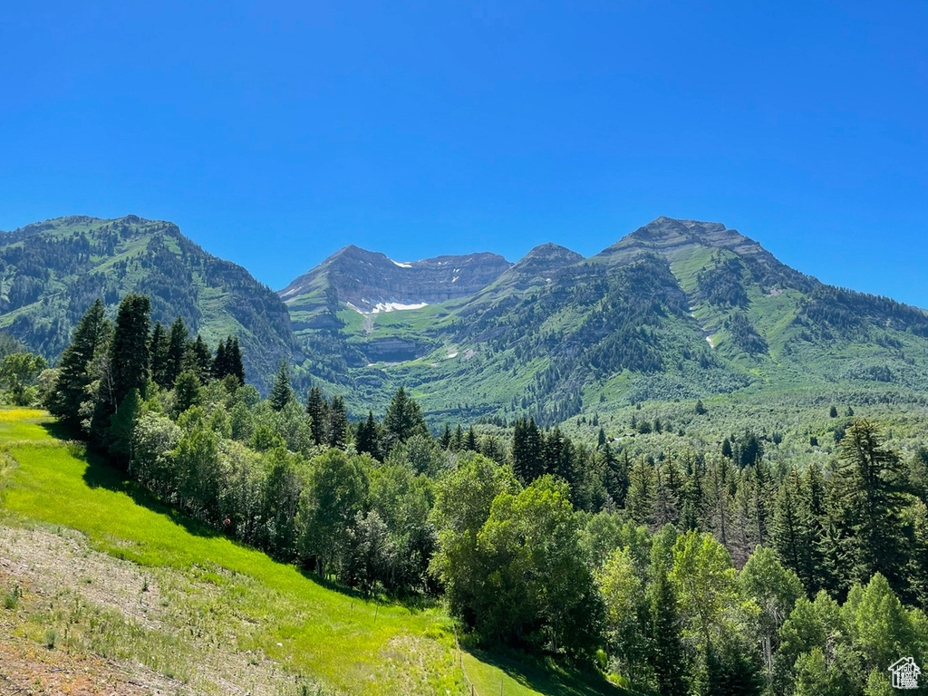 View of mountain background featuring a heavily wooded area