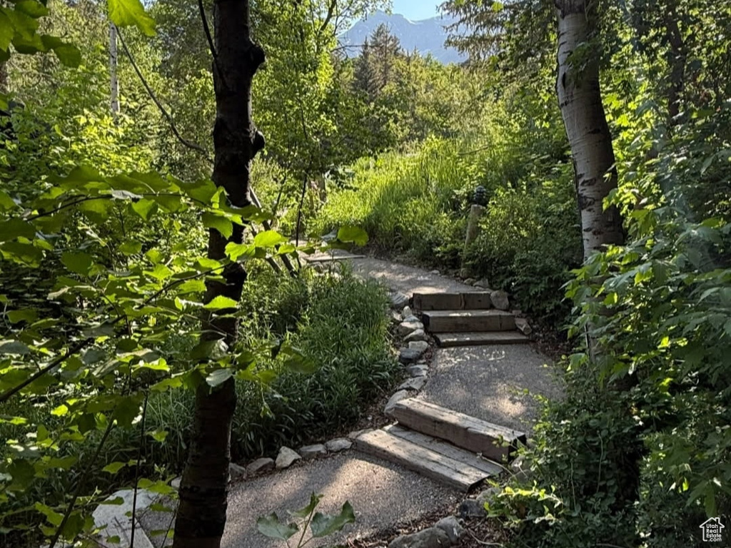 View of community with a view of trees