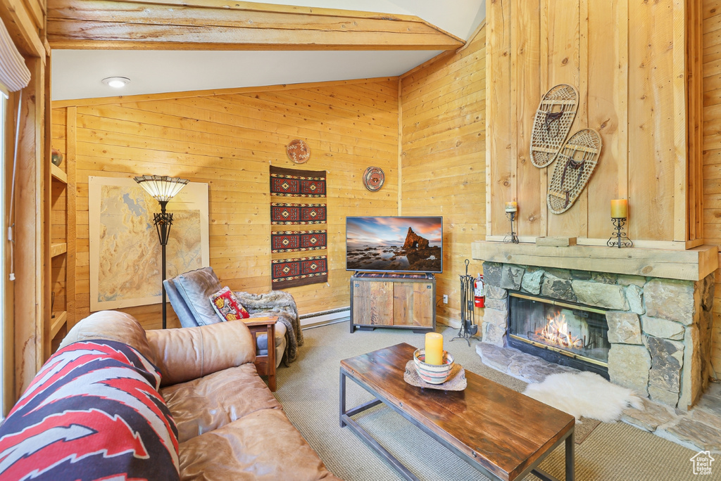 Living area featuring wooden walls, carpet floors, and a fireplace