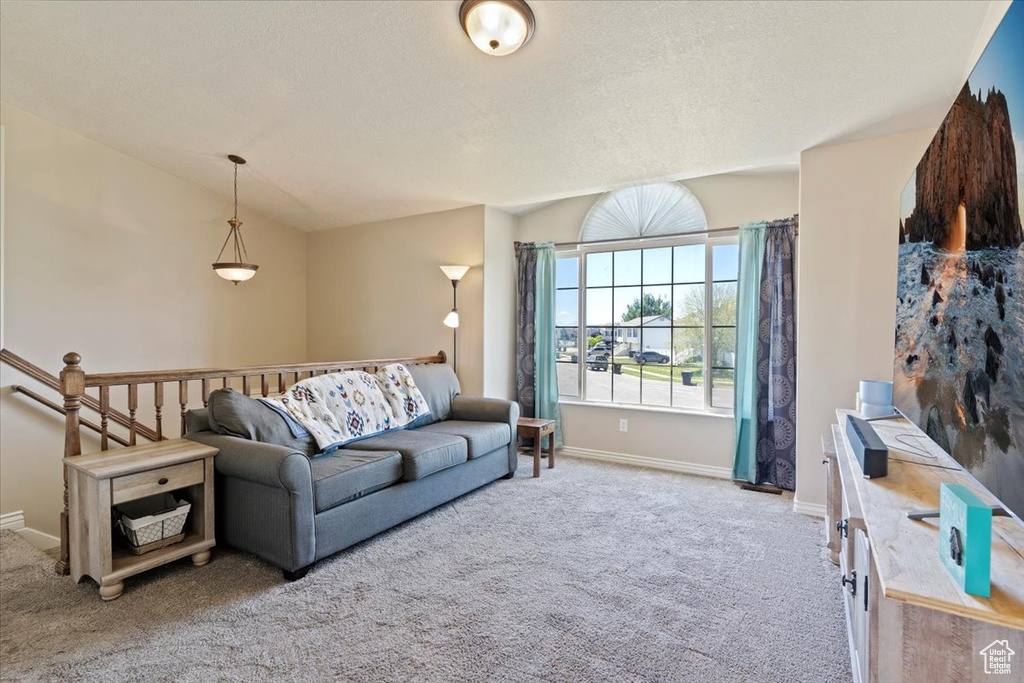Living room featuring carpet floors, baseboards, and a textured ceiling