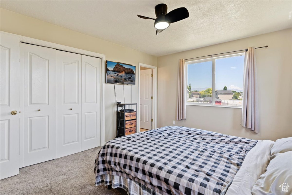 Carpeted bedroom with a closet and a ceiling fan