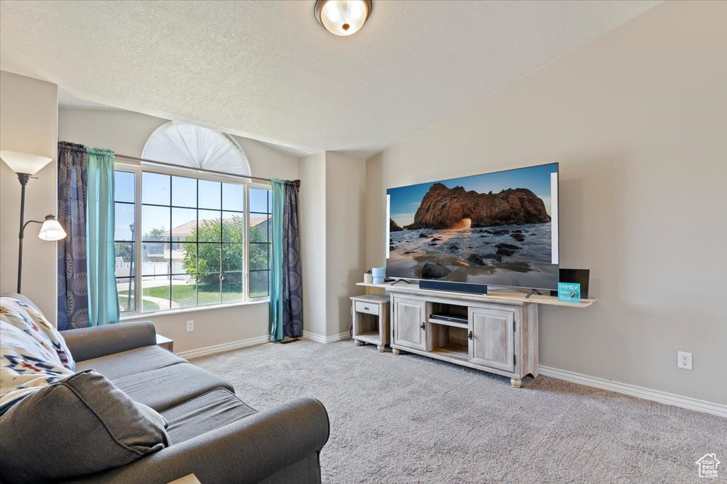Living area with carpet, baseboards, and vaulted ceiling