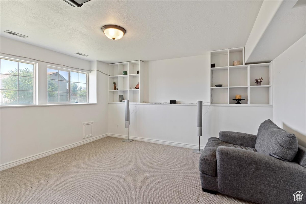 Living area with carpet, a textured ceiling, and baseboards