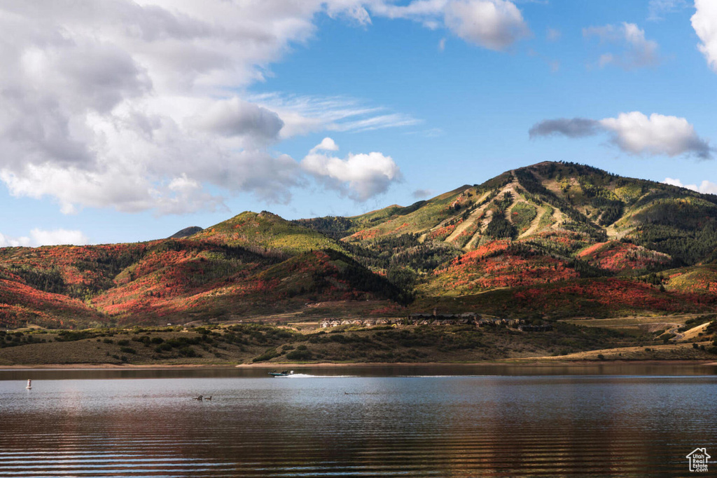 458 W ASCENT DR #234 Hideout, UT 84036
