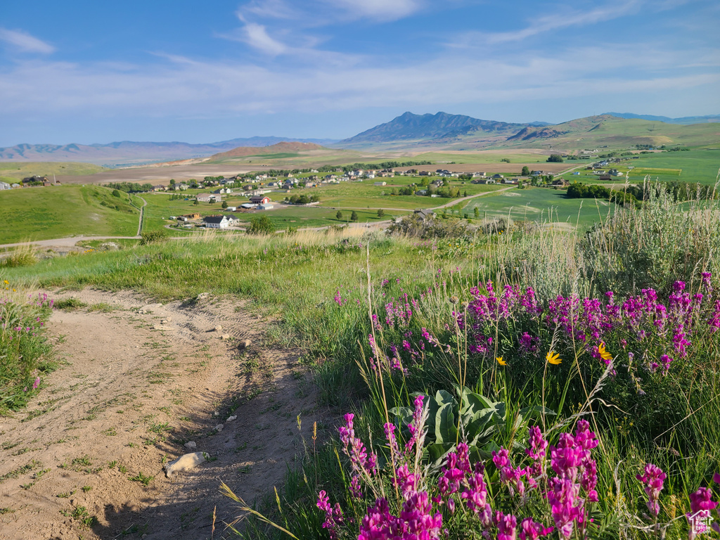Mountain view with rural landscape