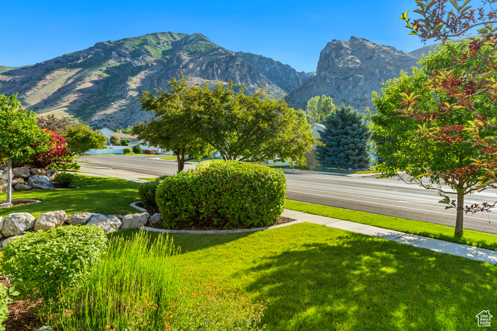 View of mountain background