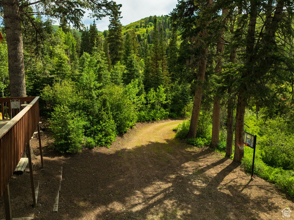 View of yard featuring a forest view