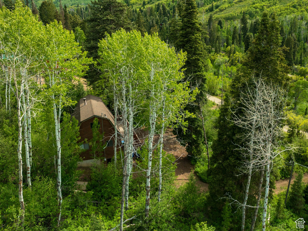 View from above of property featuring a forest