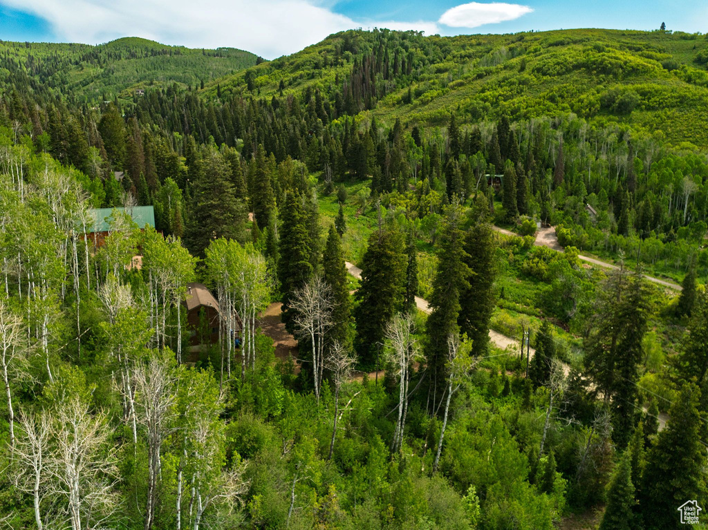 View of mountain background featuring a heavily wooded area