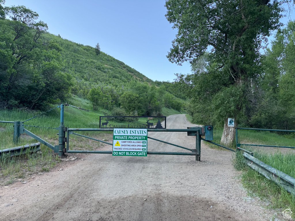 View of dirt / gravel road featuring a view of trees, a gate, and a mountain view