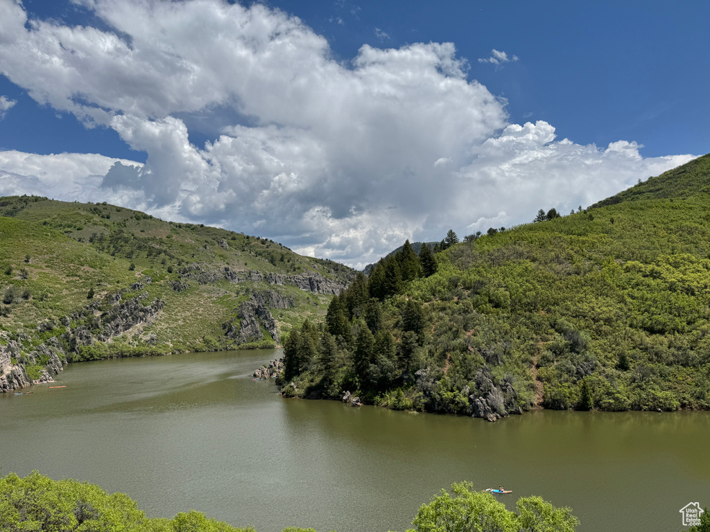 Water view featuring a heavily wooded area and a mountain backdrop