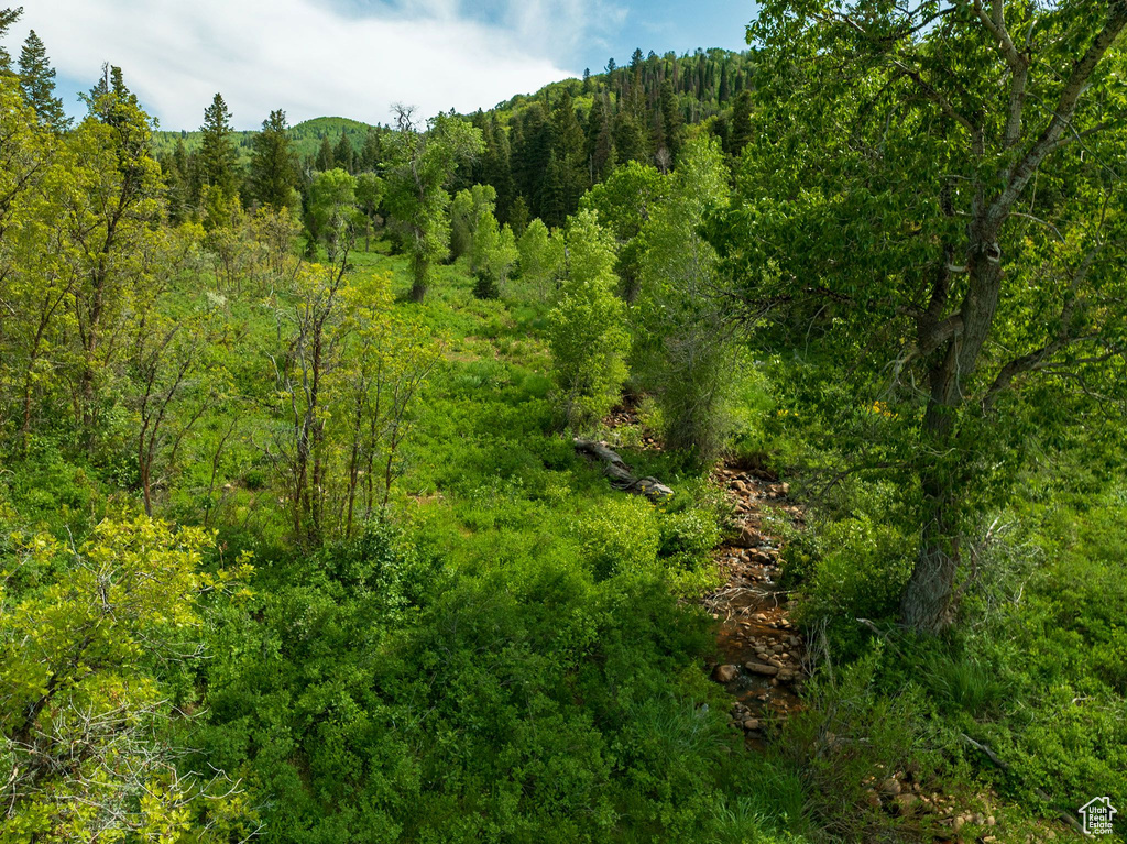View of wooded area