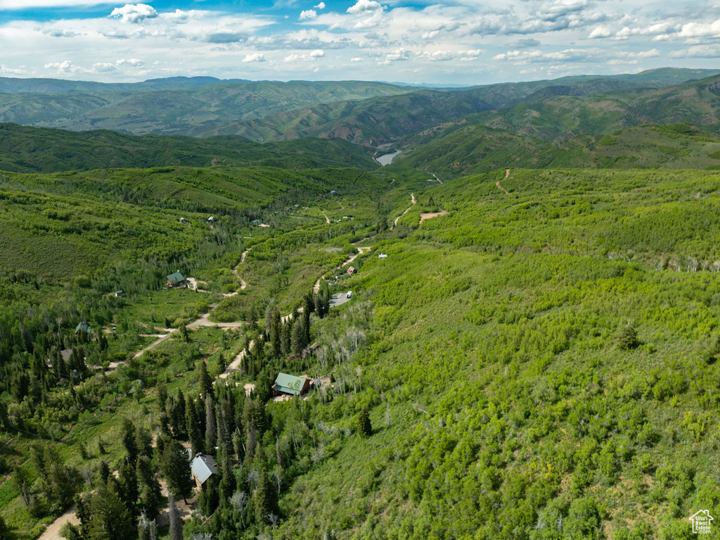 View of mountain background with a heavily wooded area