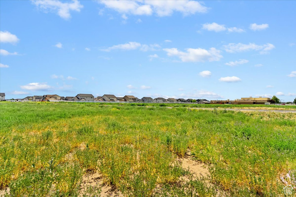 View of local wilderness featuring nearby suburban area