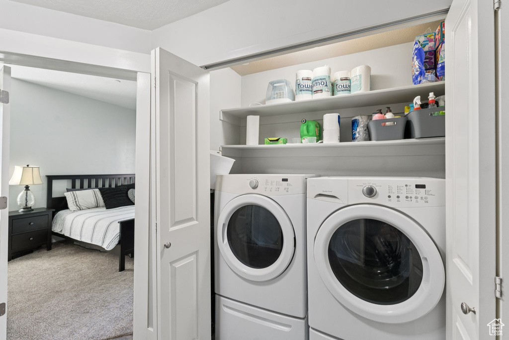Laundry room with carpet and washing machine and dryer