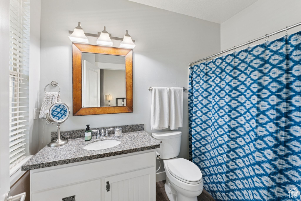 Bathroom with vanity, toilet, wood finished floors, and a shower with curtain