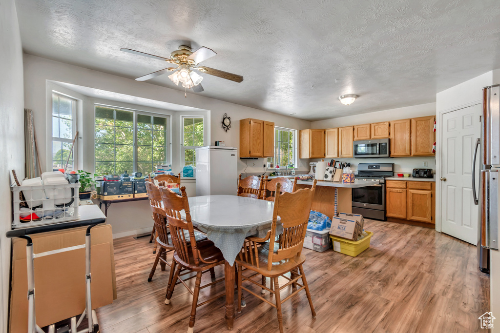 Dining room featuring ceiling fan, light wood finished floors, a textured ceiling, and baseboards