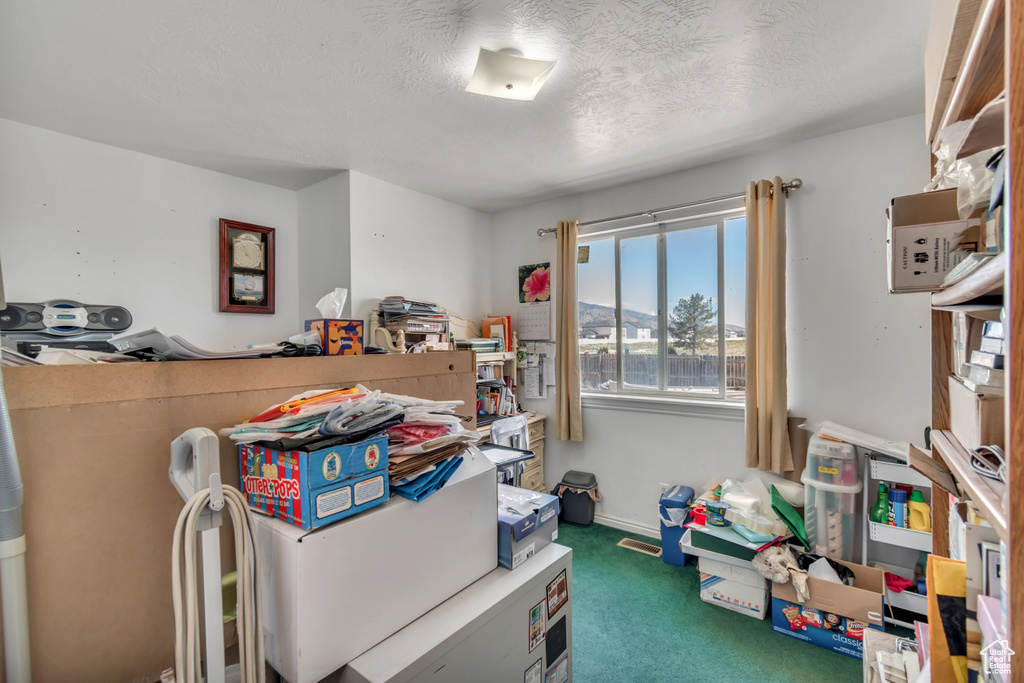 Recreation room featuring carpet floors and a textured ceiling