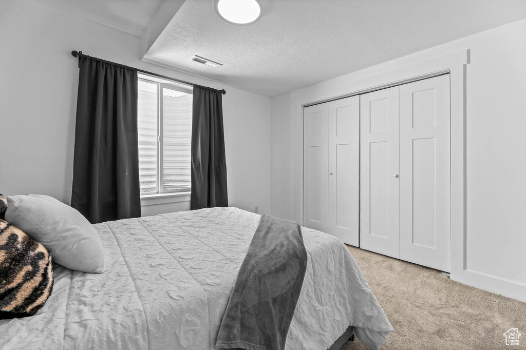 Bedroom featuring carpet flooring, a textured ceiling, and a closet
