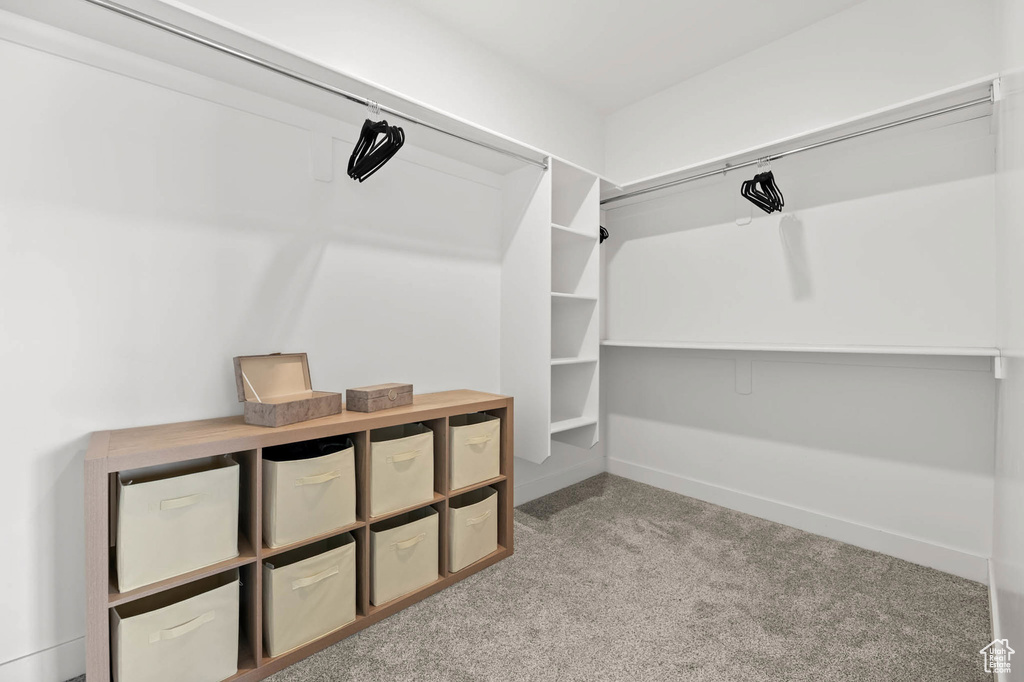 Spacious closet with carpet