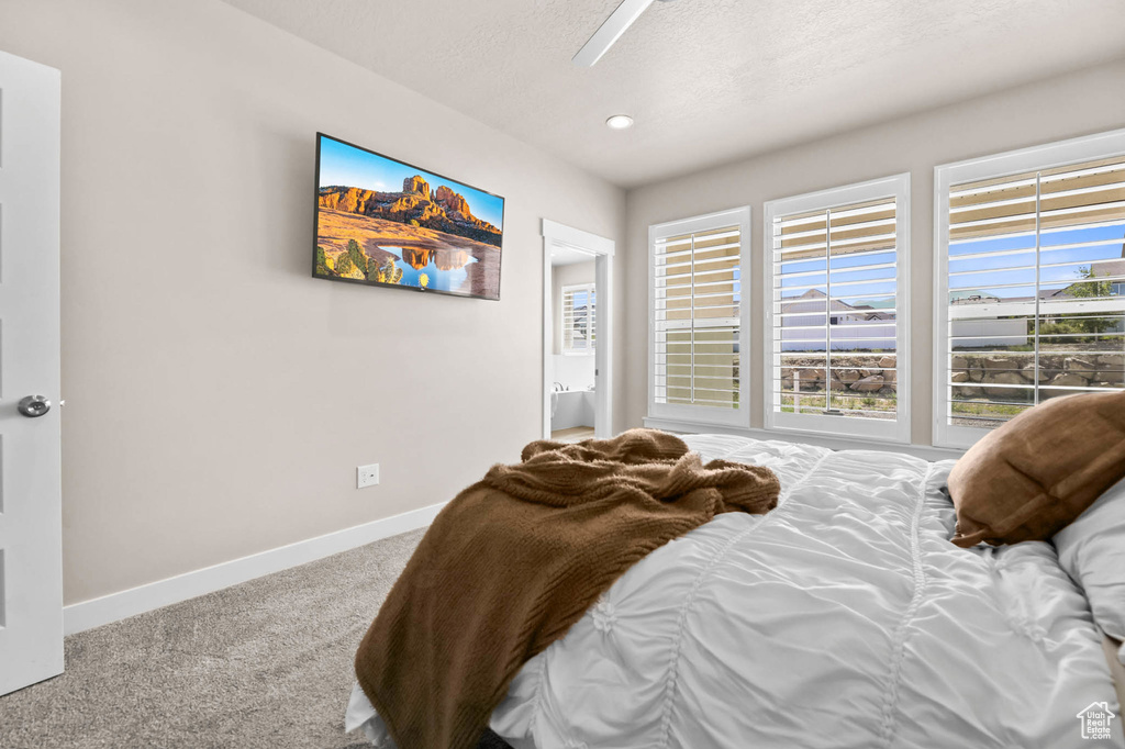 Carpeted bedroom with baseboards, multiple windows, a textured ceiling, and ceiling fan
