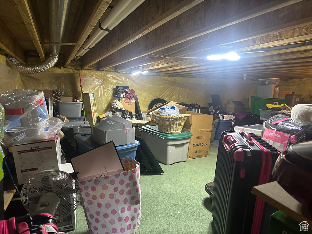 Unfinished below grade area with carpet flooring