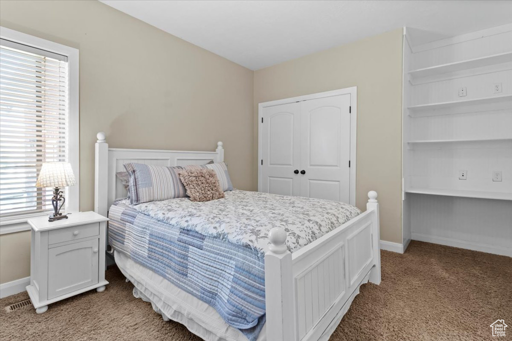 Bedroom featuring carpet floors, multiple windows, a closet, and baseboards