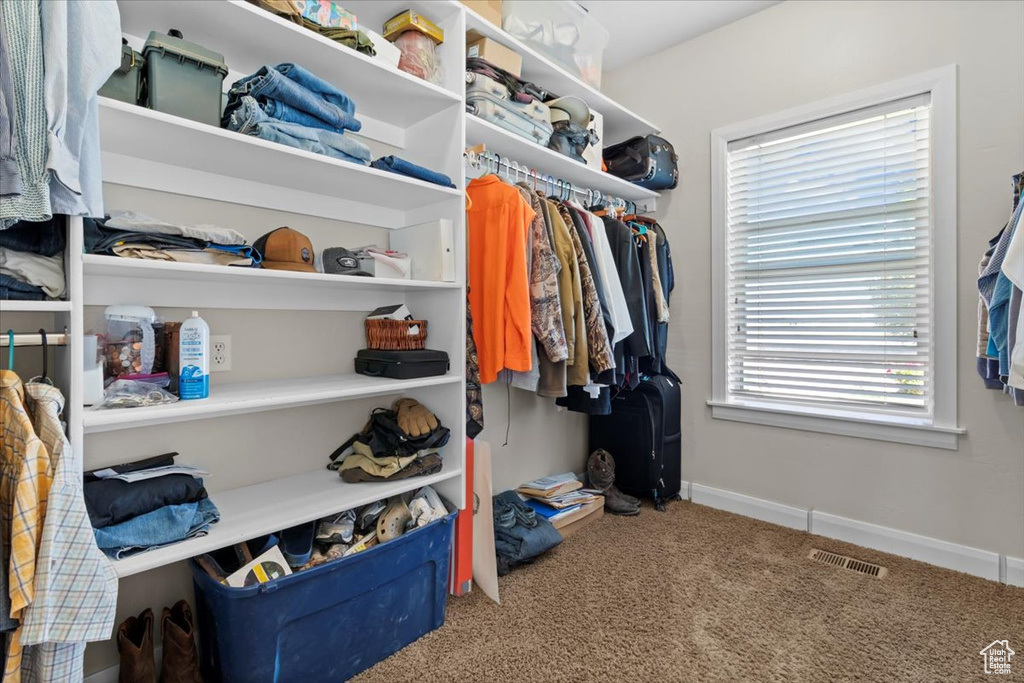 Walk in closet with carpet