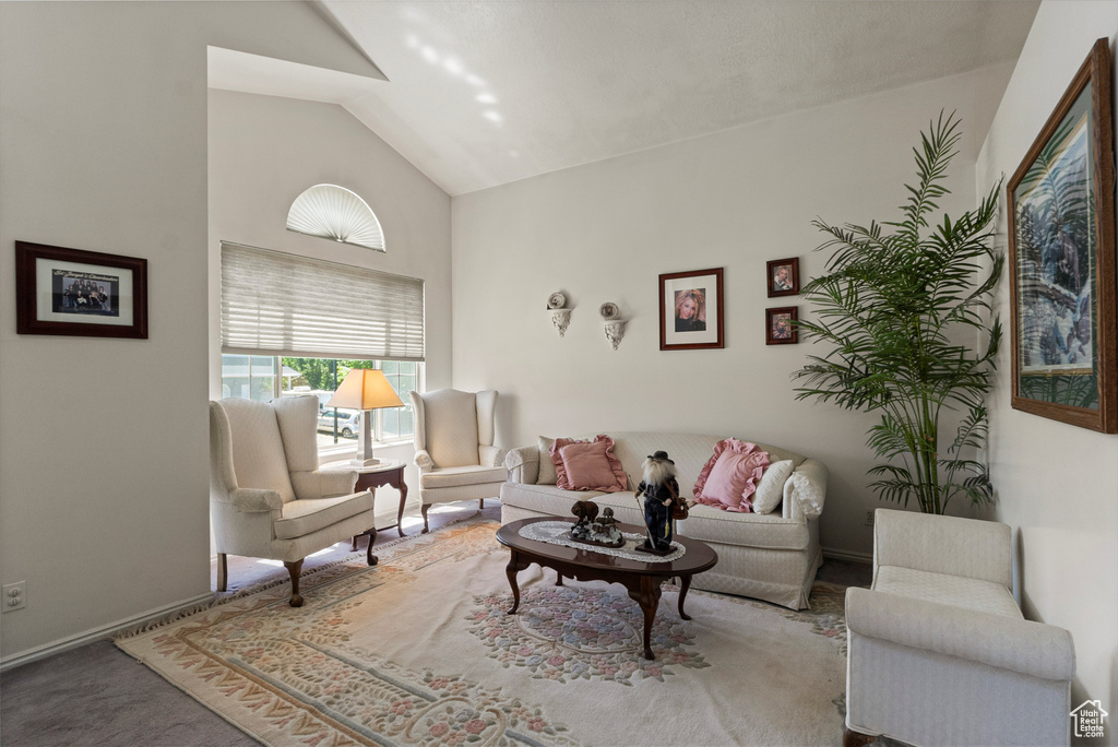 Living area featuring high vaulted ceiling, carpet floors, and baseboards