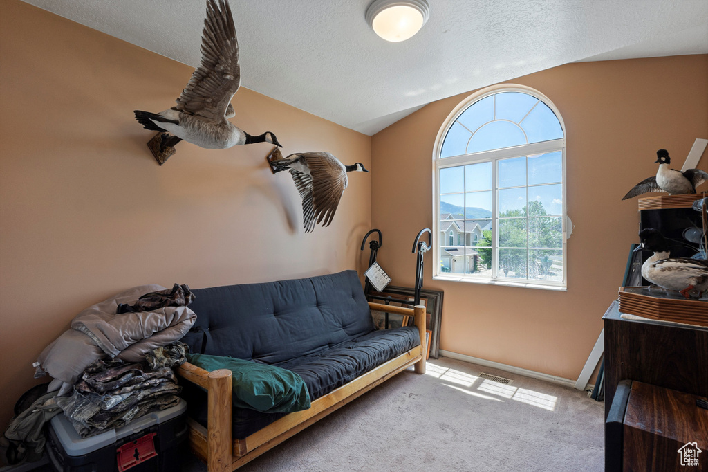Living area featuring carpet, baseboards, and lofted ceiling