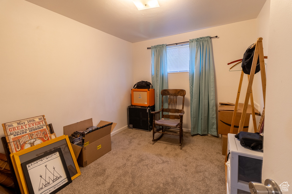 Living area with carpet flooring