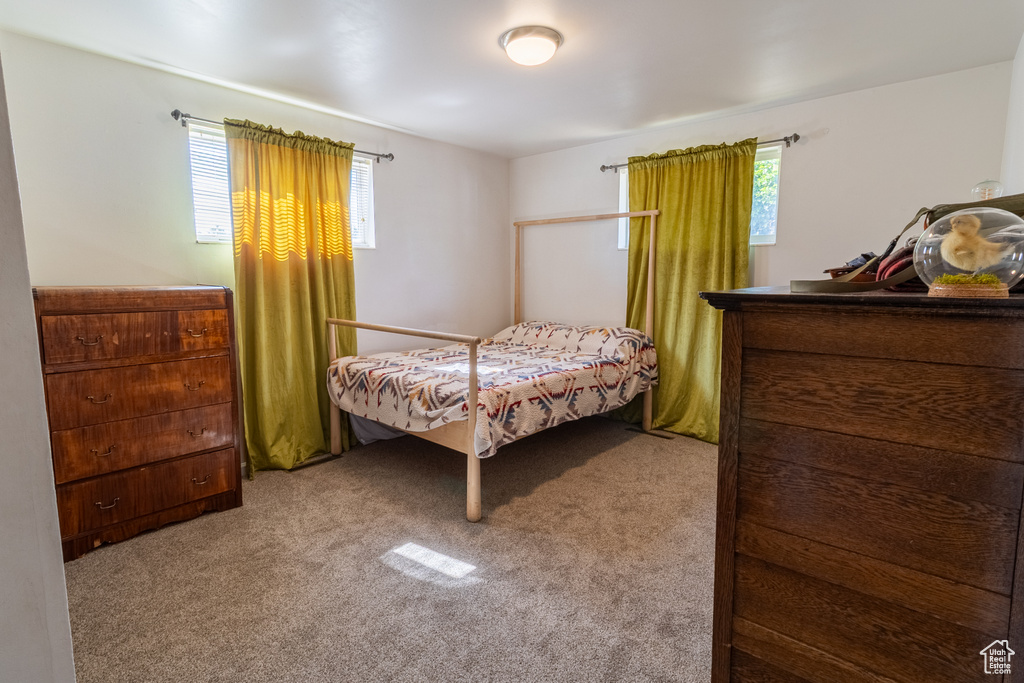 Bedroom with carpet floors