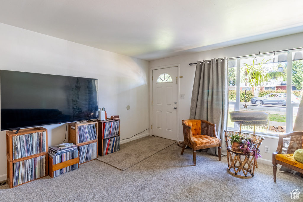 Entrance foyer featuring plenty of natural light, carpet floors, and baseboards