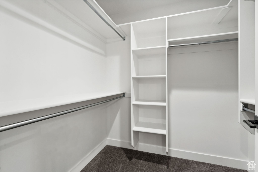 Spacious closet featuring dark colored carpet