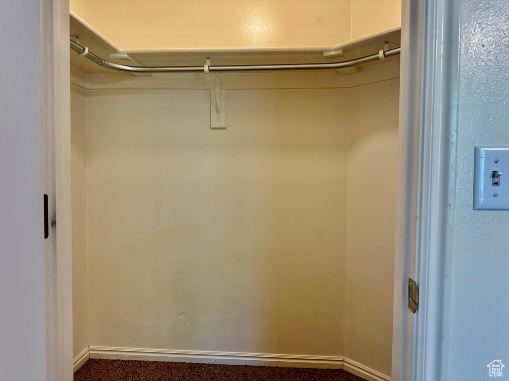 Spacious closet featuring carpet flooring
