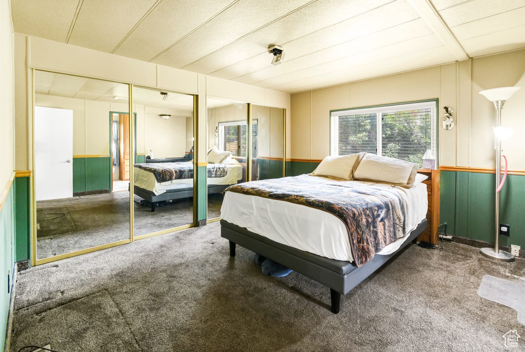Carpeted bedroom featuring multiple windows and two closets