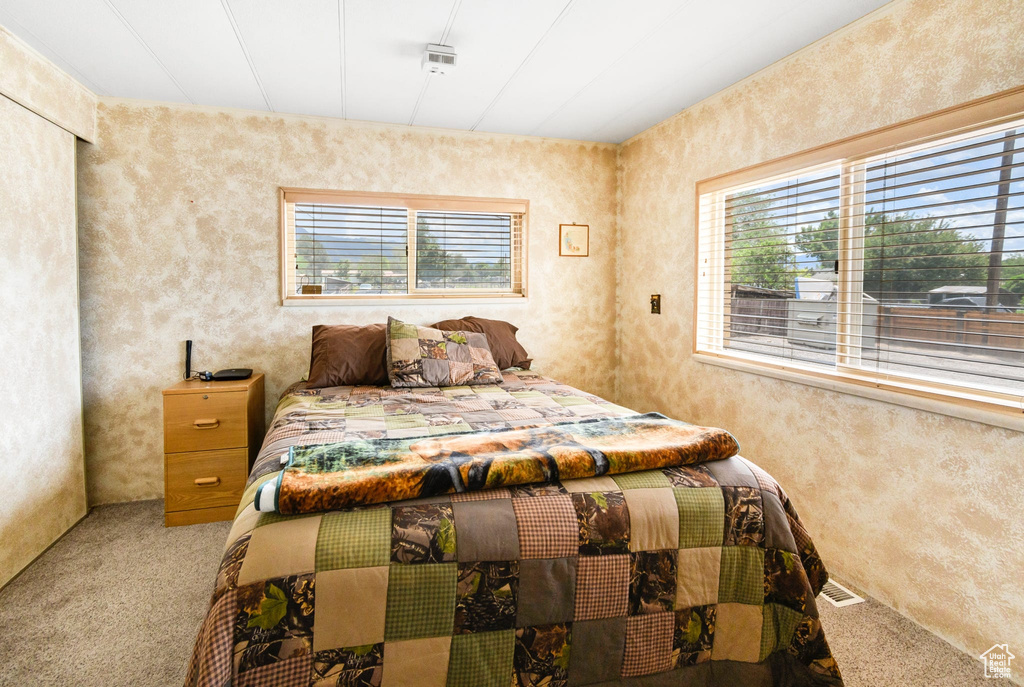 Carpeted bedroom with multiple windows