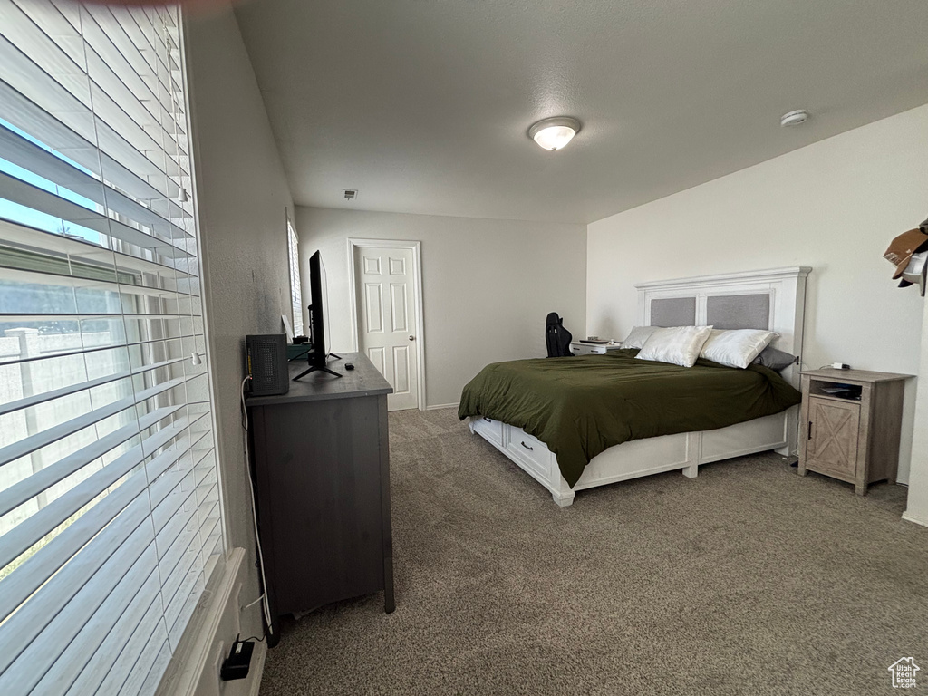 Bedroom with carpet flooring