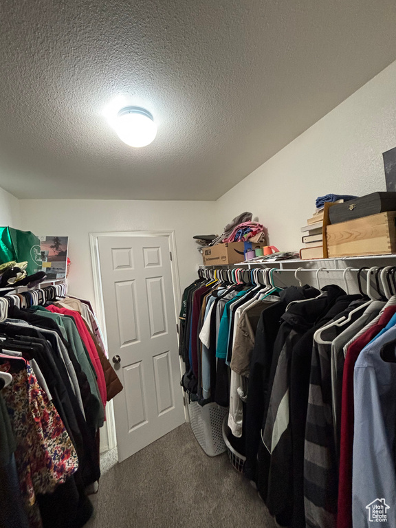 Walk in closet featuring carpet floors