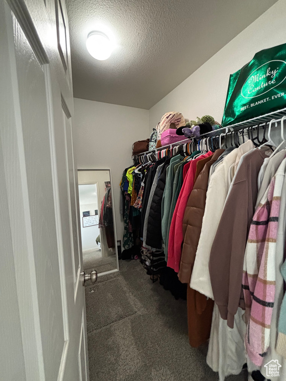 Walk in closet featuring carpet flooring