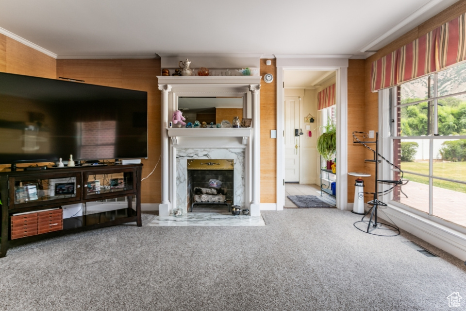 Carpeted living area with ornamental molding and a high end fireplace